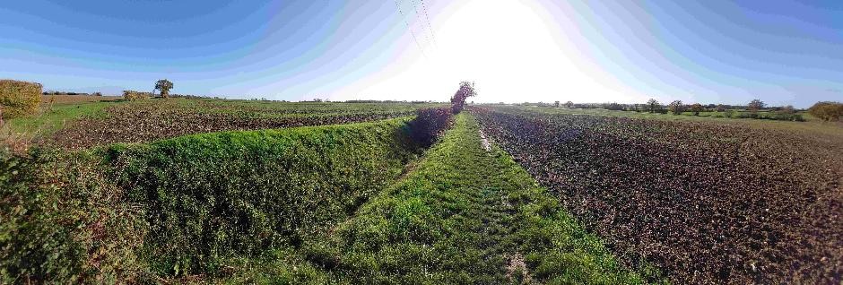 footpath