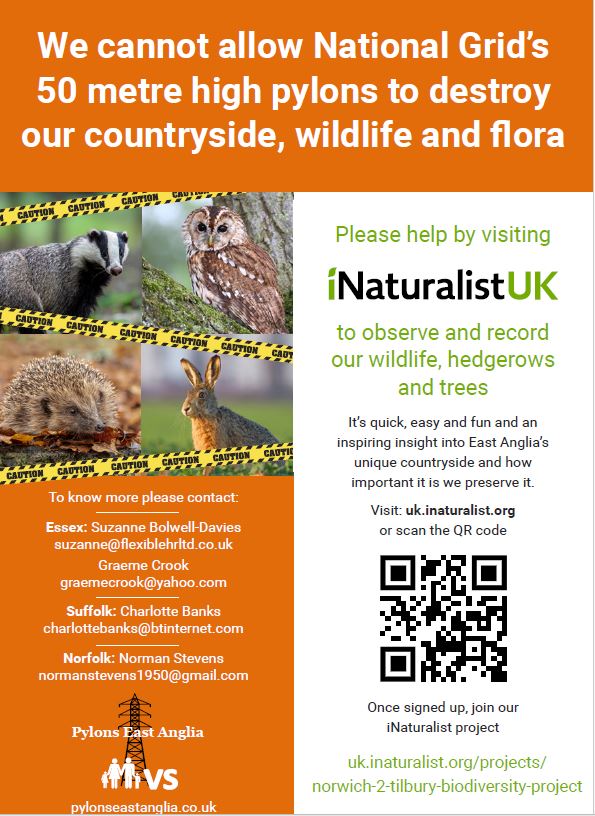 iNaturalist